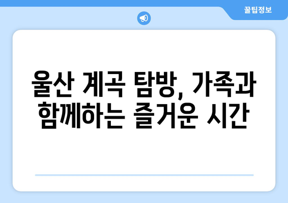 울산 근교 한적한 계곡 탐방 가이드 | 자연, 힐링, 여름 여행"