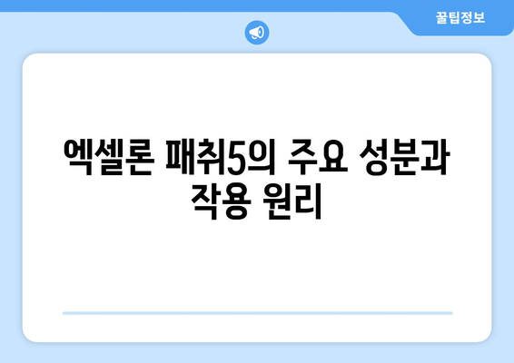 엑셀론 패취5 사용법과 효과 완벽 가이드 | 엑셀론, 패취, ADHD 치료