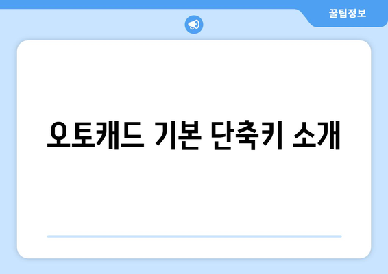 오토캐드 단축키 완벽 가이드| 20개의 필수 단축키와 활용 팁 | 오토캐드, 그래픽 디자인, CAD 사용법