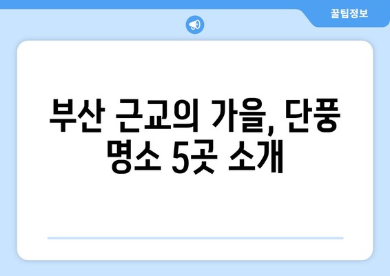 부산 근교 단풍 명소 추천 | 가을 여행, 자연의 아름다움, 갈색단풍