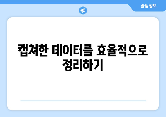 엑셀 캡쳐 단축키를 활용한 효율적인 데이터 수집 방법 | 엑셀, 업무 자동화, 생산성 향상