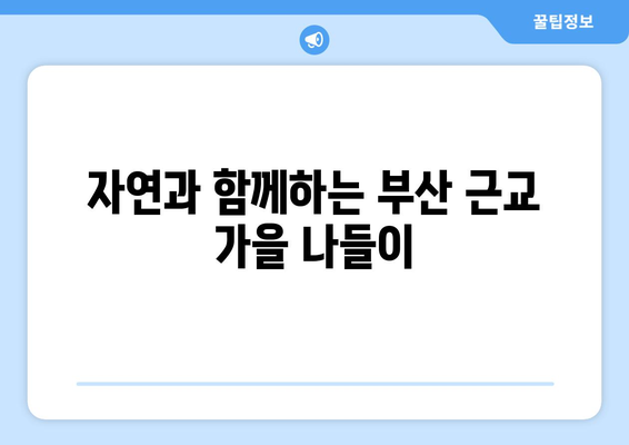 부산 근교 가을 핫플 10곳! 가을을 만끽하는 완벽 가이드 | 부산 여행, 핫플레이스, 가을 명소"