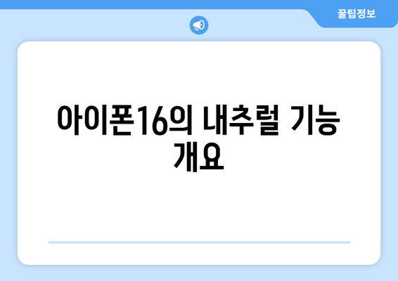 아이폰16 내추럴 기능과 성능 리뷰 | 아이폰16, 스마트폰, 기술 분석