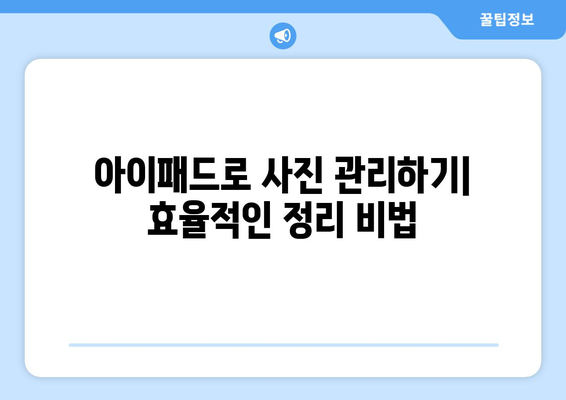 아이패드 사진 전시