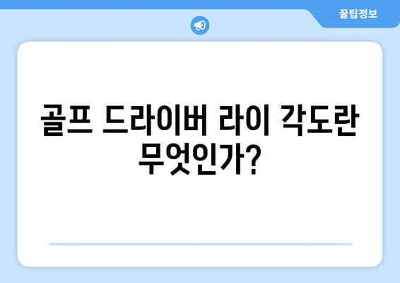 골프 드라이버 라이 각도 조정의 중요성과 최적 방법 | 골프, 장비, 퍼포먼스 향상