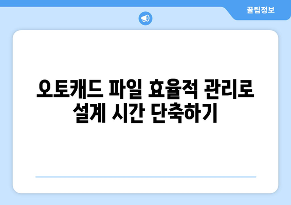 오토캐드 도면 관리의 모든 것| 효과적인 파일 조직과 활용 방법 | 오토캐드, 도면 관리, 설계 효율성