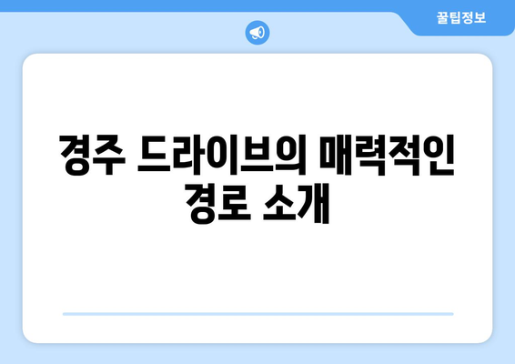 경주 근교 드라이브 루트 완벽 가이드 | 경주, 드라이브 코스, 여행 팁