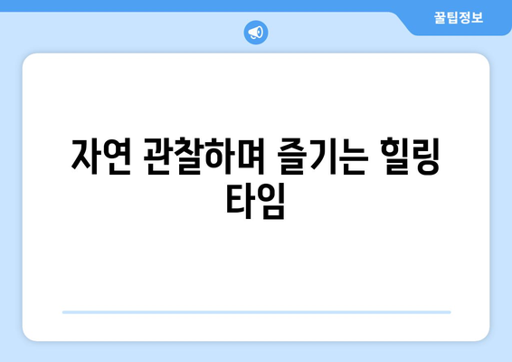 남양주 물의 정원 방문 팁| 사진 촬영, 최적의 시간, 즐길 거리 안내 | 자연 관찰, 관광 명소, 여행 정보