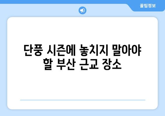 부산 근교 단풍 명소 추천 | 가을 여행, 자연의 아름다움, 갈색단풍