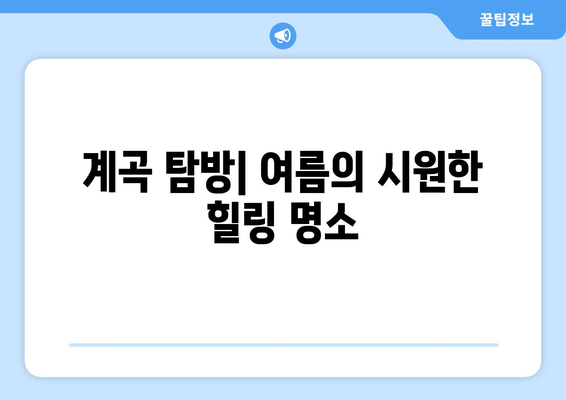 울산 근교 한적한 계곡 탐방 가이드 | 자연, 힐링, 여름 여행"