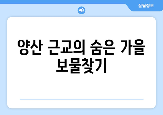 양산 근교 가을 사진 촬영지 베스트 10 | 가을 풍경, 야외 촬영, 사진 명소