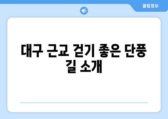 대구 근교 가을 단풍 여행 완벽 가이드 | 단풍 명소, 여행 팁, 가을 풍경