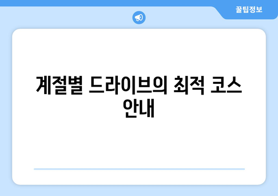 경주 근교 드라이브 루트 완벽 가이드 | 경주, 드라이브 코스, 여행 팁