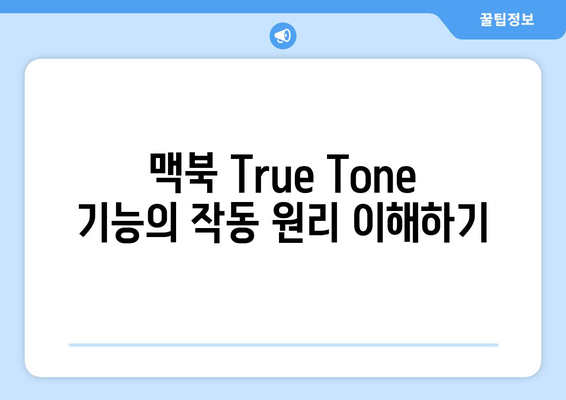 맥북 True Tone 기능 완벽 활용 가이드 | 화면 설정, 색상 조정, 실용 팁