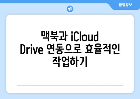 맥북 iCloud Drive 설정 및 사용법| 사진, 문서 백업과 파일 공유 팁 | 맥북, 클라우드 저장소, 데이터 관리