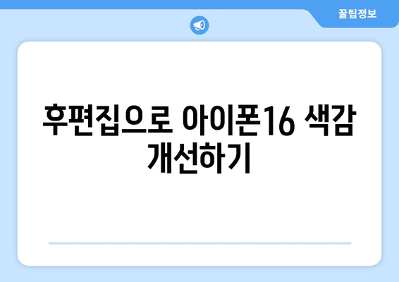 아이폰16 카메라 색감