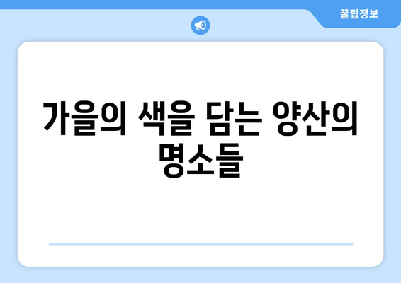양산 근교 가을 사진 촬영지 베스트 10 | 가을 풍경, 야외 촬영, 사진 명소