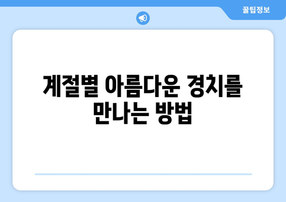 광주 근교 드라이브 코스 추천! 완벽 가이드로 즐기는 자연경관 탐방 | 드라이브, 여행, 경치 좋은 장소