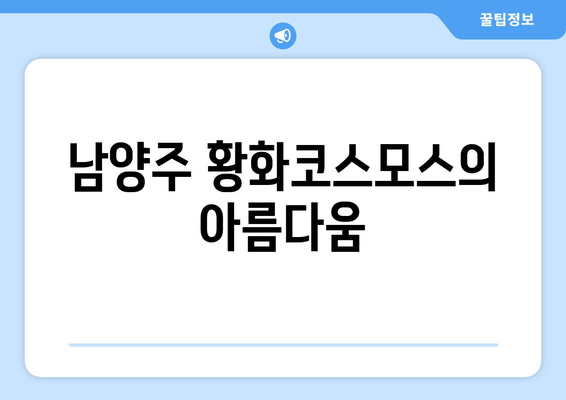 남양주 가을 황화코스모스 명소 탐방 가이드 | 가을 여행, 자연, 사진 명소