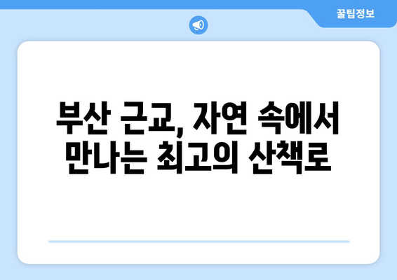 부산 근교 힐링 산책로 탐방 가이드 | 자연, 산책, 리프레쉬하기 좋은 장소