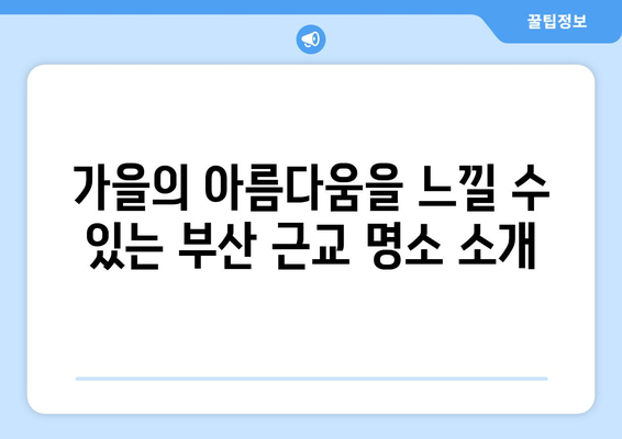 부산 근교 가을 가족 여행을 위한 5대 명소와 꿀팁 | 부산, 가족 여행, 가을 여행 코스