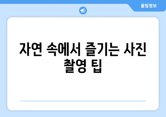 남양주 가을 황화코스모스 명소 탐방 가이드 | 가을 여행, 자연, 사진 명소