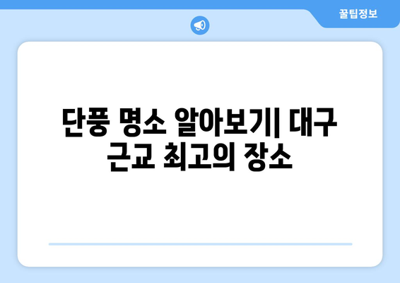 대구 근교 가을 단풍 여행 완벽 가이드 | 단풍 명소, 여행 팁, 가을 풍경