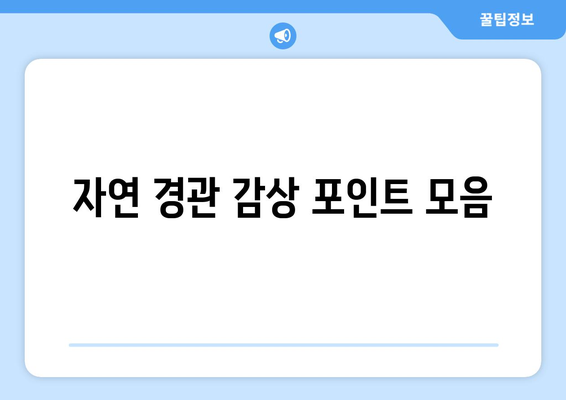남양주 물의 정원 드라이브 완벽 가이드 | 남양주, 드라이브 코스, 자연 경관