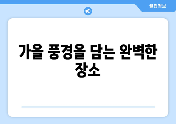 남양주 가을 황화코스모스 명소 탐방 가이드 | 가을 여행, 자연, 사진 명소