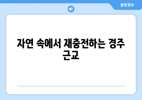 경주 근교 가족 여행지 10곳 소개! 완벽한 휴가를 위한 필수 정보 | 경주, 가족 여행, 여행지 추천"