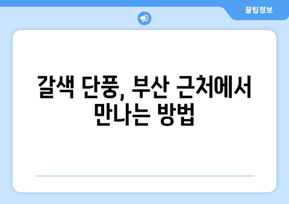 부산 근교 단풍 명소 추천 | 가을 여행, 자연의 아름다움, 갈색단풍