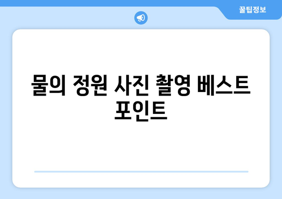 남양주 물의 정원 방문 팁| 사진 촬영, 최적의 시간, 즐길 거리 안내 | 자연 관찰, 관광 명소, 여행 정보