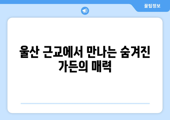 울산 근교 유명 가든 10곳 추천! 아름다운 정원을 만나는 방법 | 여행, 자연, 힐링"