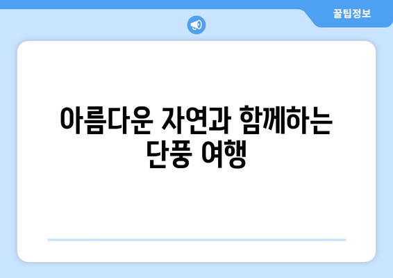 부산 근교 단풍 명소 추천 | 가을 여행, 자연의 아름다움, 갈색단풍