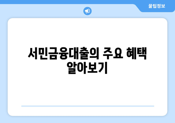 정부지원 서민금융대출