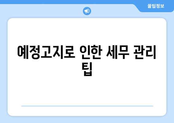개인사업자를 위한 부가세 예정고지 이해하기 | 개인사업자, 부가세, 세무 관리