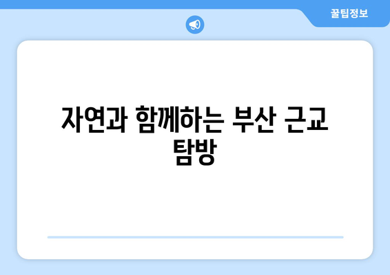 부산 근교 나들이 코스 짜기 완벽 가이드 | 가족 여행, 주말 나들이, 추천 코스