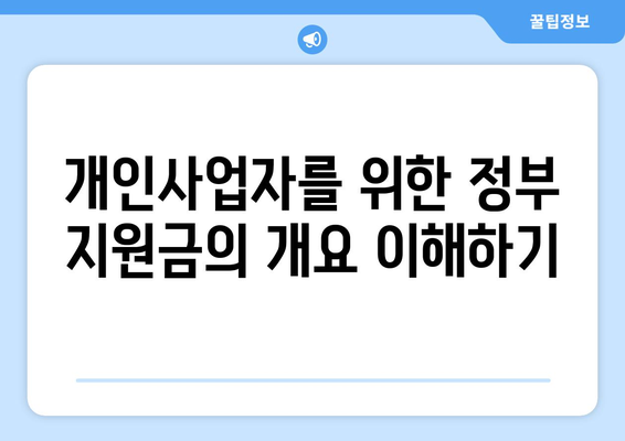 개인사업자 정부 지원금