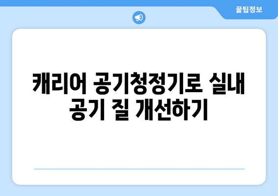 캐리어 냉난방기 공기 청정