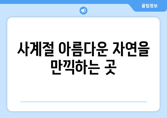 광주 근교 힐링 스팟 10곳! 완벽한 휴식을 위한 추천 리스트 | 여행, 자연, 힐링"