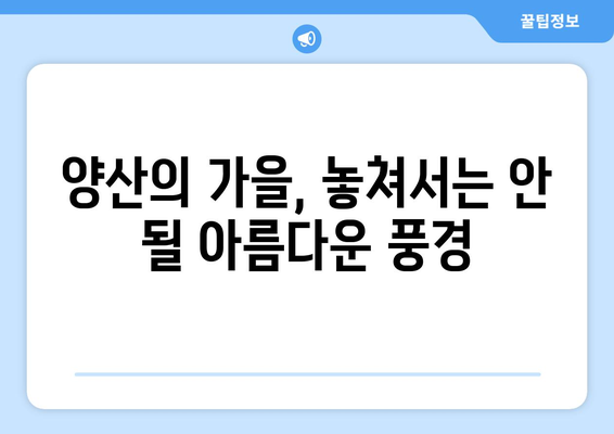 양산 근교 가을 명소 10곳 추천! | 가을 여행, 명소 탐방, 풍경 사진"