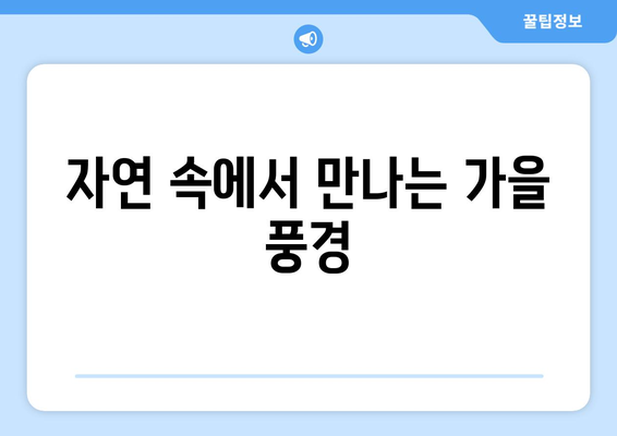 가을 나들이 추천 명소 10곳 | 자연, 여행, 가을 풍경, 가족 나들이