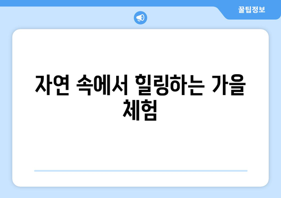 부산 근교 힐링 가을 나들이| 완벽한 가을 여행 코스 추천 | 부산, 힐링, 가을 나들이