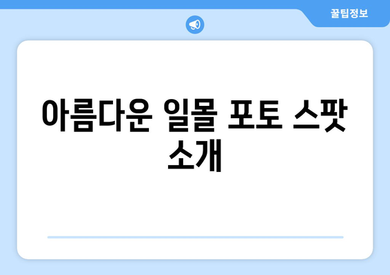 부산 근교 일몰 명소 10곳 추천! 완벽한 일몰 감상 가이드 | 부산, 일몰, 여행 팁