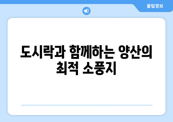 양산 근교에서 소풍하기 좋은 장소 추천 7곳 | 소풍, 여행, 양산, 자연 탐방
