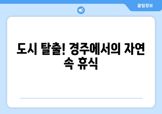 경주 근교 고즈넉한 마을 탐방 가이드 | 여행, 자연, 힐링 여행지