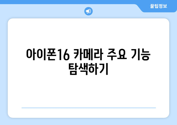 아이폰16 카메라 설정 완벽 가이드| 촬영 팁과 최적화 방법 | 아이폰16, 카메라, 사진 촬영