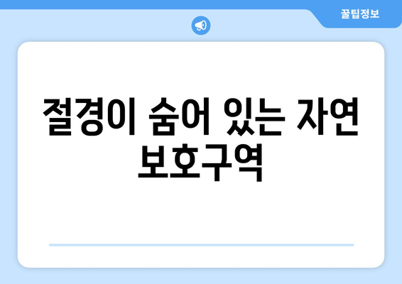 울산 근교 바다 풍경 스팟 10곳 추천 가이드 | 여행, 자연, 풍경"