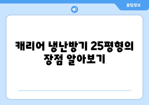 캐리어 냉난방기 25평형 선택 가이드| 효율성 높은 모델과 설치 팁!" | 캐리어, 냉난방기, 에너지 효율, 설치 방법