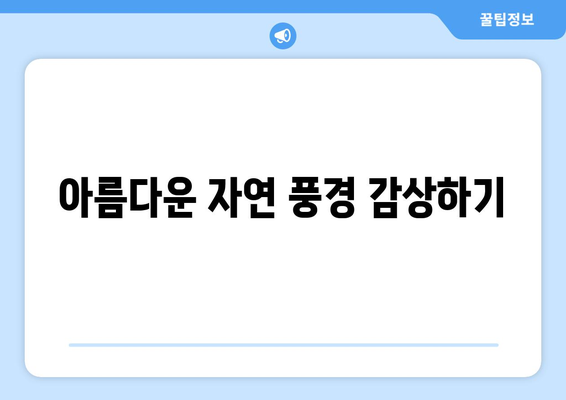 안동 근교 가을 풍경 추천 | 가을 여행지, 아름다운 자연, 사진 명소